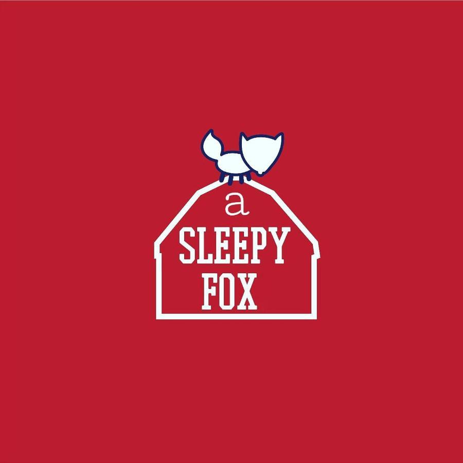 Hostel A Sleepy Fox Nowe Delhi Zewnętrze zdjęcie